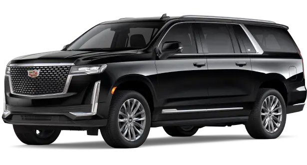 Black car service near me