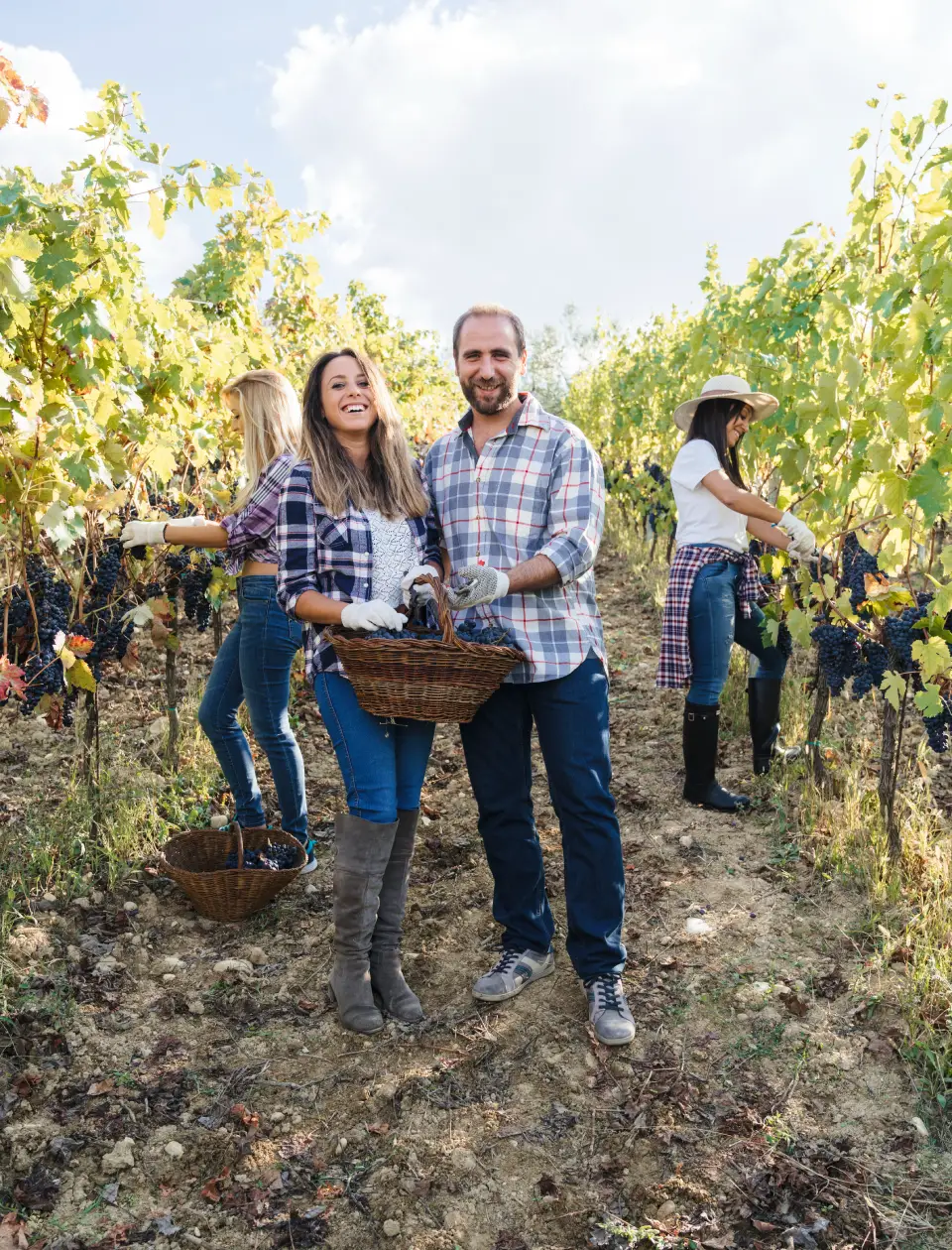 Discover Local Wineries Through Wine Tours limo service in Los Angeles